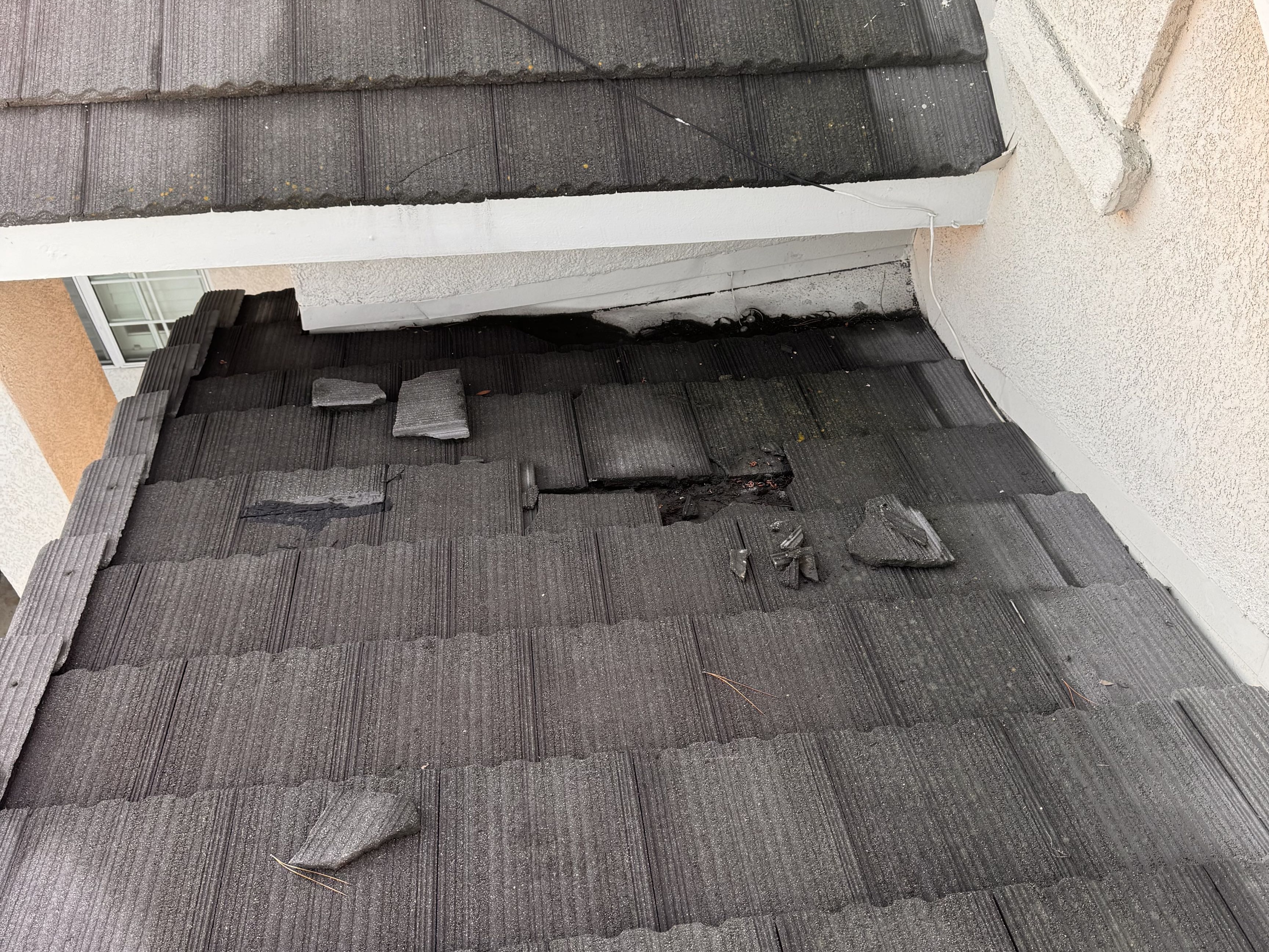 Roof maintenance inspection